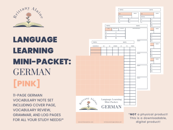 German Vocabulary Practice Mini-Packet (pink) - Image 2