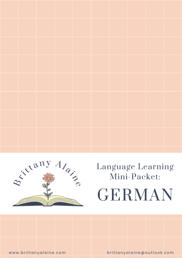 German Vocabulary Practice Mini-Packet (pink)